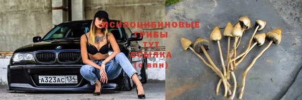 СК Лиски