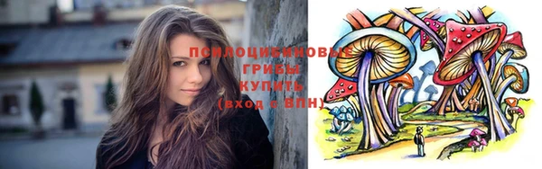 прущие крисы Вуктыл
