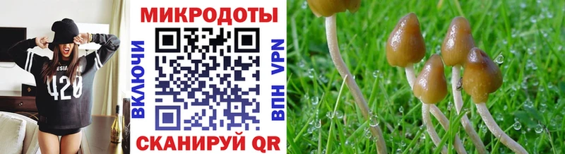 продажа наркотиков  это клад  Галлюциногенные грибы GOLDEN TEACHER  Лобня 