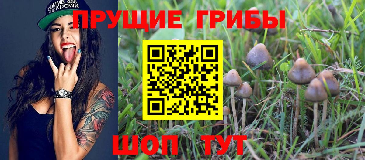 Псилоцибиновые грибы Magic Shrooms  Вход с VPN  Галлюциногенные грибы ЛСД  наркошоп  Лобня 